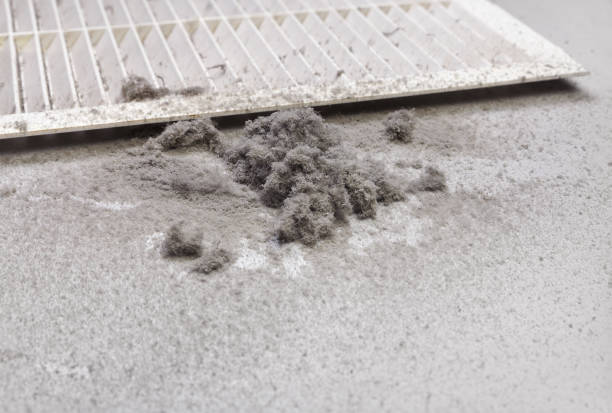 Best HVAC System Cleaning  in Colonial Heights, VA