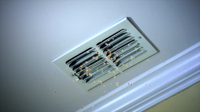 Best Emergency Air Duct Cleaning  in Colonial Heights, VA
