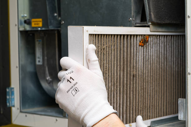 Best Home Air Vent Cleaning  in Colonial Heights, VA