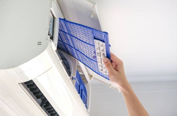 Best Dryer Vent Cleaning Services  in Colonial Heights, VA