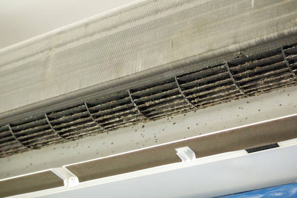 Best HVAC Duct Inspection Services  in Colonial Heights, VA